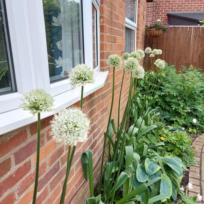 Cheerful, Cosy, One Bedroom Home With Patio And Parking Newbury  Exterior foto